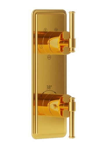 Artize VIC Thermostatic Shower Mixer With 4 way Diverter with Concealed Part In Bright Gold