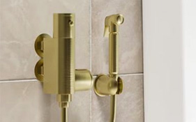 Brass Douche Sprays