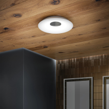 0730_Horizon_Ceiling_Light.jpg