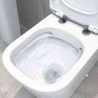 Burlington Rimless Close Coupled WC & White Ceramic Cistern Chrome Push Button P20 C2