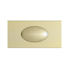 Lancia Large Brushed Brass Dual Flush Button & Access Panel