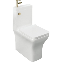 Arley 2 in 1 Square Toilet and Basin with Brushed Brass Tap