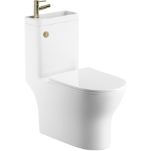 Arley 2 in 1 Round Toilet and Basin with Brushed Brass Tap