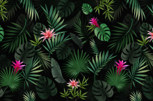 SCA58-Bromelia-full-panel-scaled.jpg