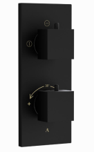 Artize Concealed Thermostatic Shower Valve With 2 way Diverter In Black Matt