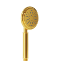 Artize VIC Single Function Hand Shower In Bright Gold PVD