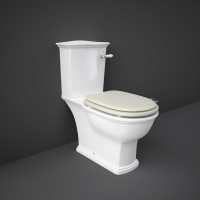 Washington Wall Hung Rimless WC with Soft Close Seat Black - RAK Ceramics
