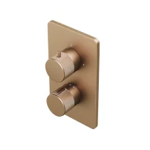 Abacus EZ Box 2.0 Brushed Bronze Shower Valve with ISO Pro Handles
