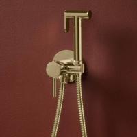 Niagara Round Shower Outlet - Brushed Brass