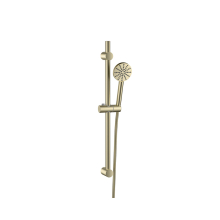 Lancia Brushed Brass Shower Head, Riser Rail & Hose Kit