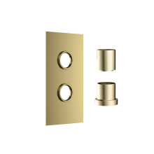 Lancia Brushed Brass Double Concealed Plate with Sleeves