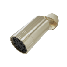 Lancia Score Spotlight Brushed Brass Wall Mounted Shower Head