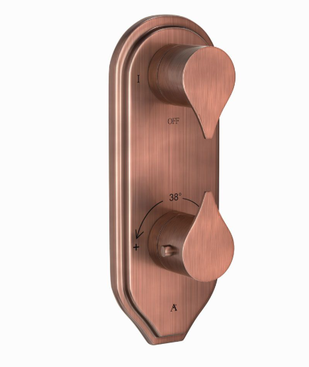 Artize Tiaara 2 Outlet Thermostatic Shower Valve With Concealed Valve In Antique Copper