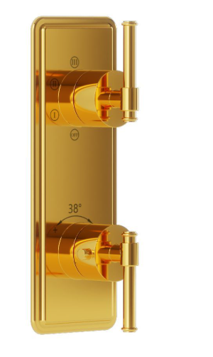 Artize VIC Thermostatic Shower Mixer With 5 way Diverter with Concealed Part In Bright Gold