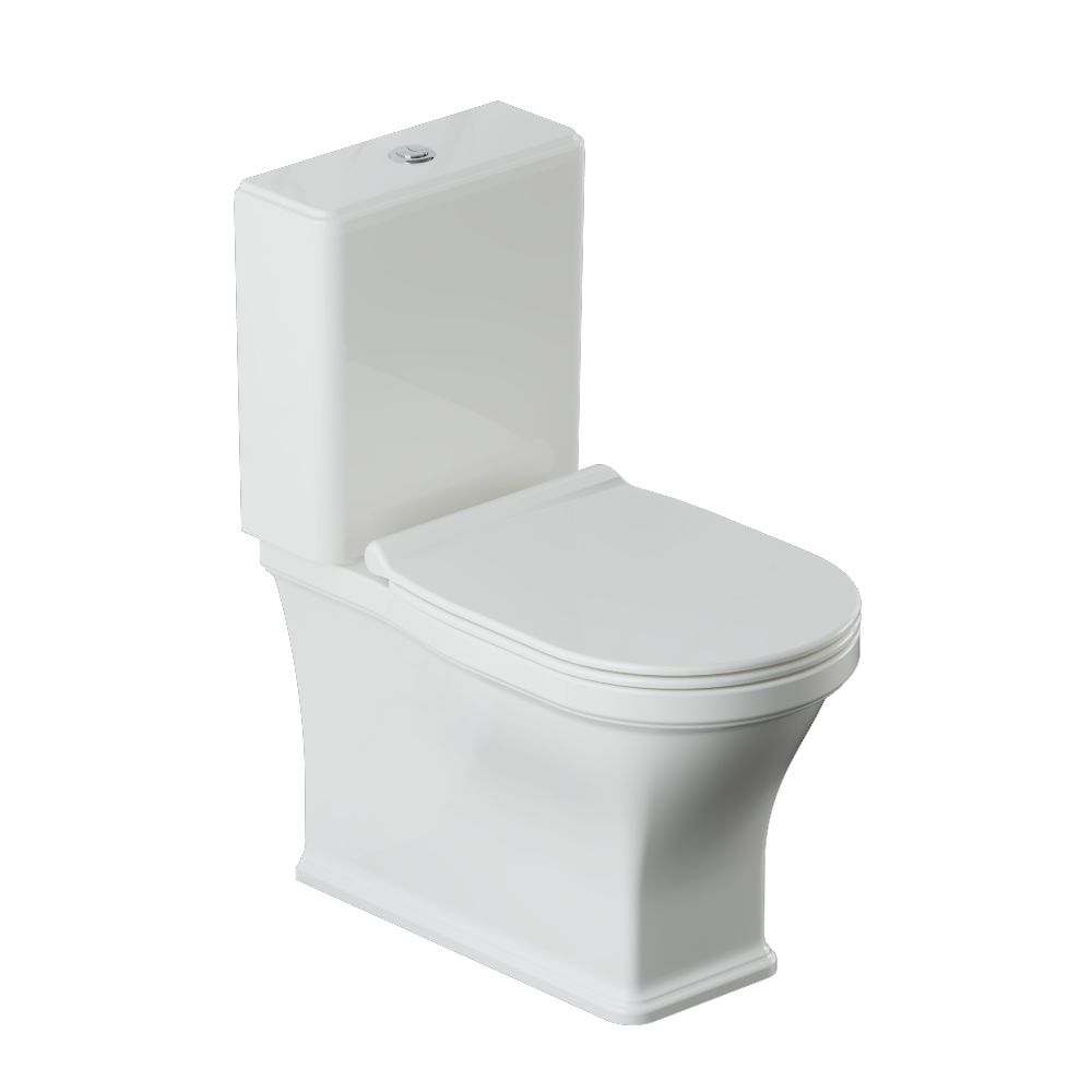 Artize VIC Rimless Bowl With Cistern For Coupled WC